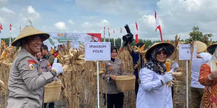 Panen Raya Jagung di Madiun, Dipimpin Irwasum Polri & Wamentan