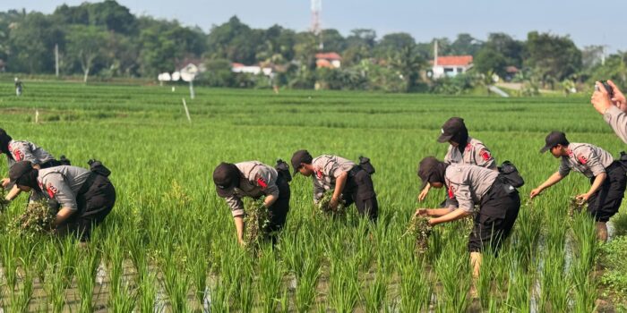 Program Latja Polwan 2025: Membentuk Polwan yang Berorientasi pada Pemberdayaan Komunitas