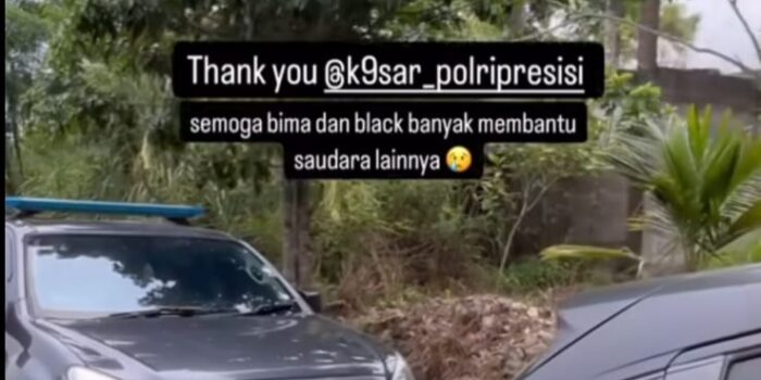 Kasus Kematian Anjing Shelter Sentul, Polri K9 Selidiki Dugaan Akibat Racun