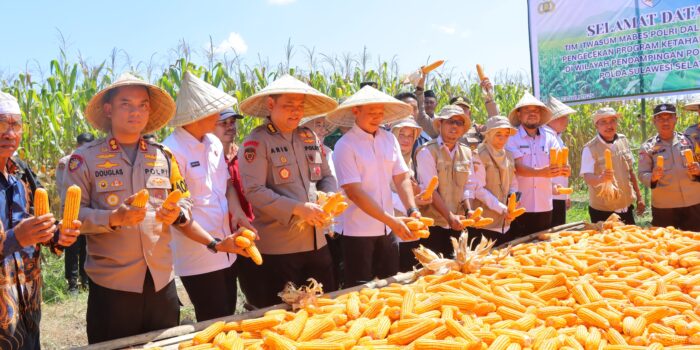 Maros Menuju Kampung Jagung Mandiri Berkat Polri dan Masyarakat